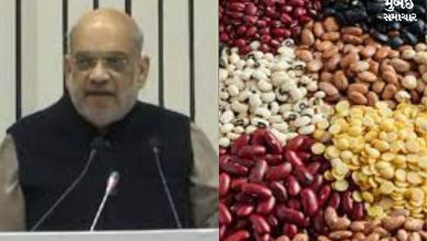 India Stop the Import Pulses 2027