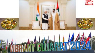 Vibrant Guajarat Global Summit UAE President