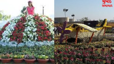 Ahmedabad Longest Flower Structure