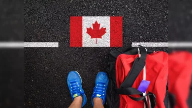 India-Canada Row: Indian students are avoiding going to Canada! 86% reduction in study permits