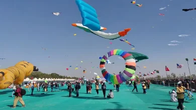 Patang Mahotsav International Kite Festival traditional kites