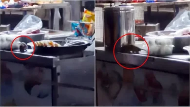 A grainy image of a rat scurrying among plates of food at an IRCTC stall.
