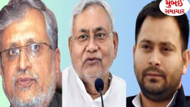 Bihar Vote Of Confidence vishwas mat ntish kumar JDU RJD political news gujarati