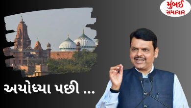 What statement did the Deputy Chief Minister of Maharashtra give on the Mathura issue?