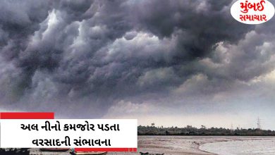 India Monsoon Forecast 2024: Will El Nino's Disappearance Bring Bountiful Rains?