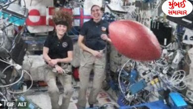 Astronauts caught on viral video doing strange activity in space station