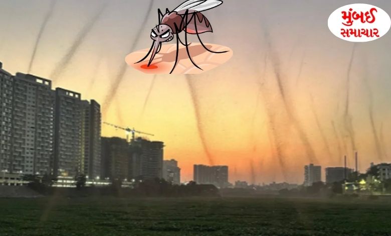 Mosquito infestation in Pune or something else, video viral