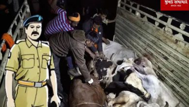 4 including Bajrang Dal leader arrested in Uttar Pradesh on cow killing charges, police officer charged with conspiracy