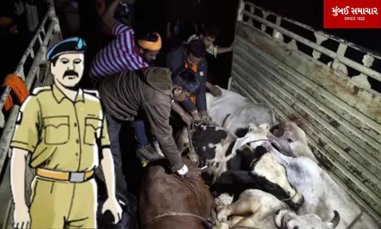 4 including Bajrang Dal leader arrested in Uttar Pradesh on cow killing charges, police officer charged with conspiracy