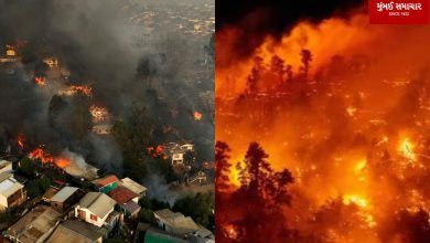 Fierce forest fire in Chile spreads to residential areas: 46 dead