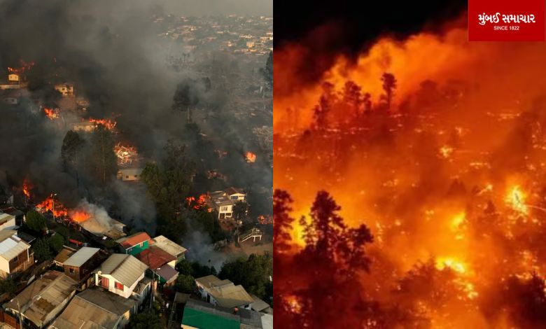 Fierce forest fire in Chile spreads to residential areas: 46 dead