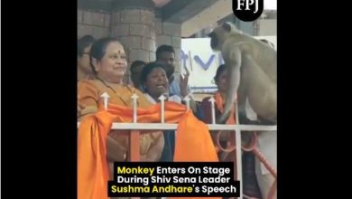 Speak, know what happened after 'Monkey Raj' reached the leader's program?