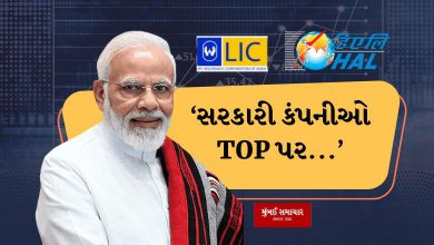PM Modi shut the mouths of opposition, said government companies on TOP, know the facts of LIC-HAL