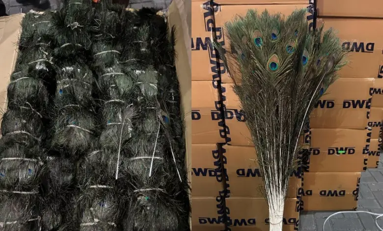 Smuggling of peacock feathers.