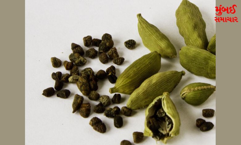 Cardamom seeds Magic Drink every morning