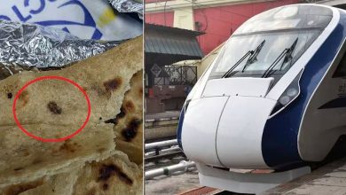 Cockroach in Vande Bharat Train Meal Sparks Outrage