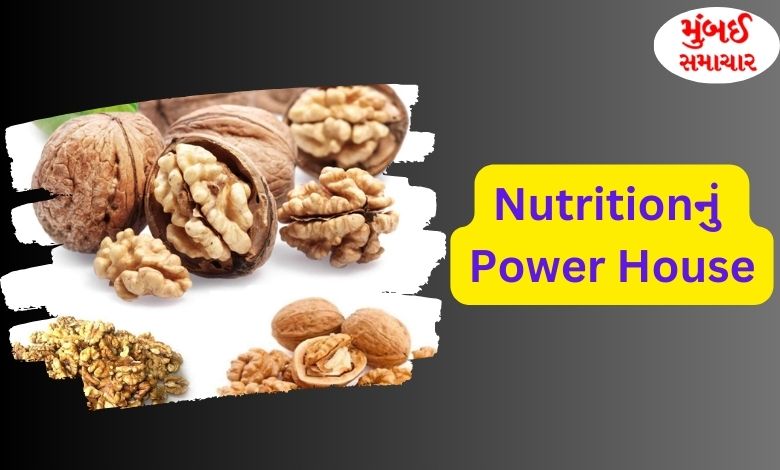 Walnuts is a powerhouse of nutrition