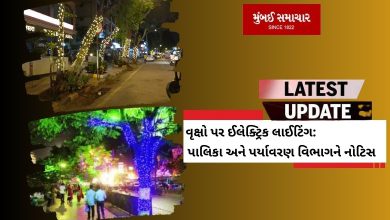 Notice to municipality and environment department due to electric lighting on trees