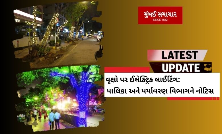 Notice to municipality and environment department due to electric lighting on trees