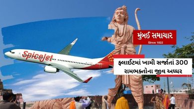 Malfunction in Spice Jet flight to Ayodhya