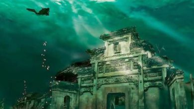 Lord Krishna's city of Dwarka was submerged in the sea for what reason?