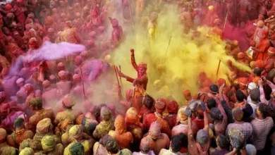 Holi Hair Care Tips: How to protect hair from color damage on Holi? Take care like this