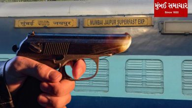 Jaipur-Mumbai Express Firing