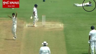 After the wicket keeper dropped the catch, the umpire gave out on social media
