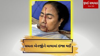 Mamata Banerjee became the victim of an accident