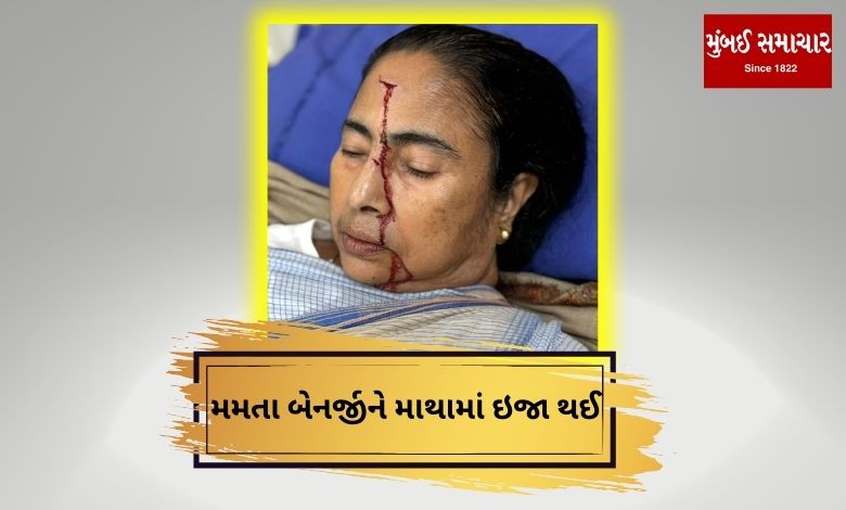 Mamata Banerjee became the victim of an accident