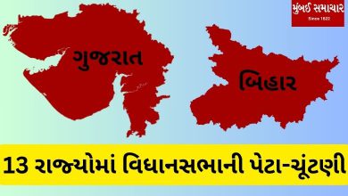 Assembly by-elections in 13 states including Gujarat-Bihar
