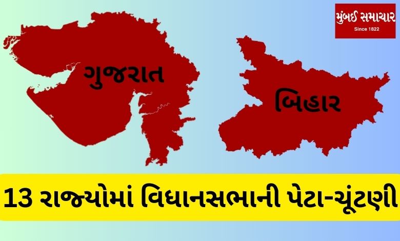 Assembly by-elections in 13 states including Gujarat-Bihar