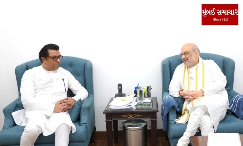 Amit Shah and Raj Thackeray's interview: What was the reaction of Thackeray and Sharad Pawar group?