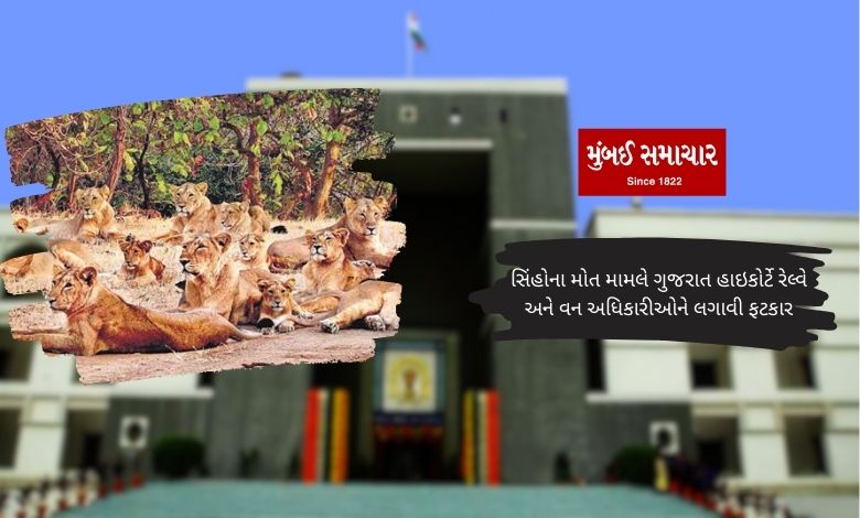 High Court Lalghum in case of death of lions due to train accidents in Gir sanctuary