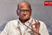 'What is the need for five phase elections in the state?': Sharad Pawar