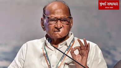'What is the need for five phase elections in the state?': Sharad Pawar