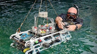IIT's robot will dive into water and keep the seizure