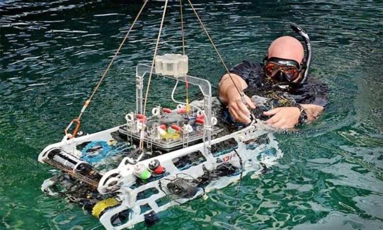 IIT's robot will dive into water and keep the seizure