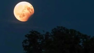 Lunar eclipse on Holi after 100 years! Will it appear in India? Will sutak kaal be valid in India or not? Find out here