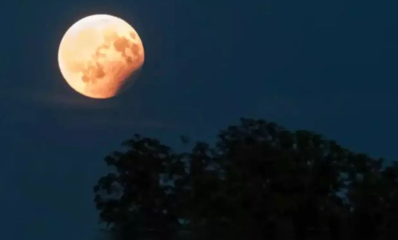 Lunar eclipse on Holi after 100 years! Will it appear in India? Will sutak kaal be valid in India or not? Find out here