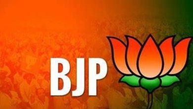 The candidate does not belong to the party or not from the village: The tone of opposition in the BJP has become dark