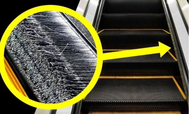 What is the function of downward facing brush in Escalator? You will be shocked to know...