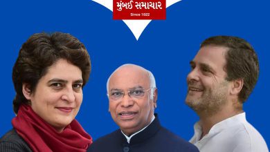 Loksabha Election 2024: Rahul gandhi and Priyanka Gandhi- Wadra Seats