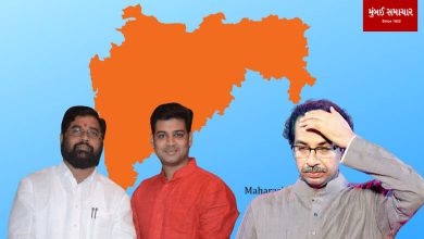 Lok Sabha Elections 2024: Imported Candidate Against Chief Minister's Son?