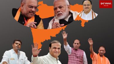 Lok Sabha Elections: BJP veterans will enter the campaign field in Maharashtra