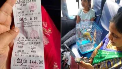 The conductor cut the ticket of this 'special' passenger in the KSRTC bus, the photo went viral on social media...