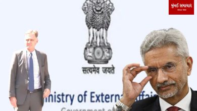 Why did the Ministry of External Affairs summon the German diplomat?