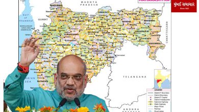 The people of Maharashtra will give us 45 seats: Amit Shah