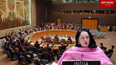 India warns UN Security Council, says global body is moving towards "anonymity"