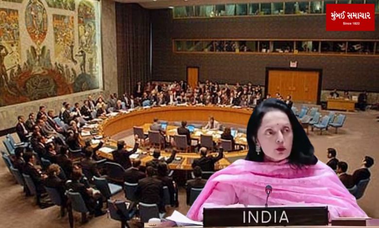 India warns UN Security Council, says global body is moving towards "anonymity"